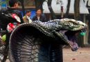 Komunitas Opank Cobra ’97 Bogor Imbau Ojol Tidak Masuk Wilayah Ini! Komunitas Opank Cobra ’97 Bogor Imbau Ojol Tidak Masuk Wilayah Ini!
